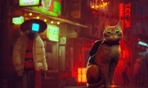 game stray