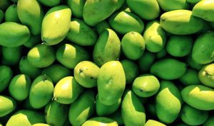 Mangga Food Estate Diyakini Mampu Bersaing di Pasar Timteng dan Eropa