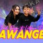 sawangen farel prayoga