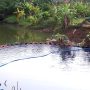 Warga Berdatangan Mengambil Minyak Pertamina yang Tumpah ke Sungai, Kok Bisa?