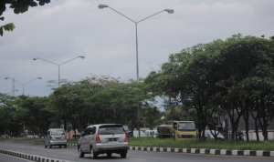 Cahaya PJU Kota Bandung Masih Terhalang Pohon Polisi Sebut Laka Lantas di Kota Bandung Minim Akibat Teknologi