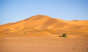 Link Foto Gurun Sahara Viral Di TikTok, Isinya Ternyata Bule Sedang..... Link Foto Gurun Sahara Viral Di TikTok, Isinya Ternyata Bule Sedang.....