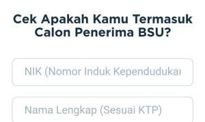 CEK BSU