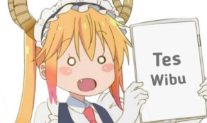 ujian wibu