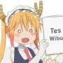 ujian wibu