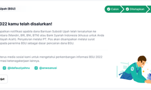 BSU 2022 Rp 600 Ribu Tahap 2 Sudah Cair, Begini Cara Ceknya
