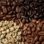 Mengenal Jenis Biji Kopi Sesuai Karakternya, Jangan Sampe Salah