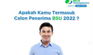 BSU tahap 2