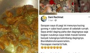 Viral Unggahan Pria Bengkulu Sembelih dan Masak Kucing Hamil