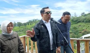 Ridwan Kamil Pastikan Jabar akan Jadi Percontohan Mobil Listrik Ridwan Kamil Pastikan Jabar akan Jadi Percontohan Mobil Listrik