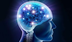 Link Tes IQ Terbaik Ada di Sini, Coba Ukur IQ mu Sekarang Juga