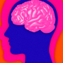 Tes IQ Online Gratis, Coba di Sini Sekarang! (Sumber gambar: NYTimes)