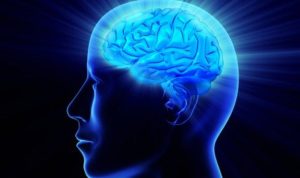 LINK Tes Ujian Inteligensi (IQ) Gratis, Asah Otak Kamu di Sini!