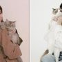Link Tes Pecinta Kucing Sejata, Coba di Sini Sekarang!