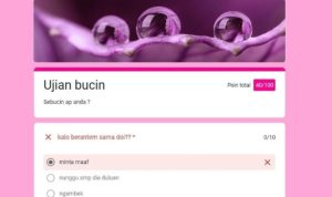 Link Tes Ujian Bucin yang Viral Saat Ini
