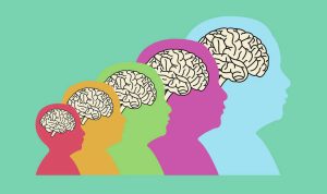 Link Tes IQ Berdasarkan Tingkatan SD/SMP/SMA/UMUM (Sumber gambar: NPR)