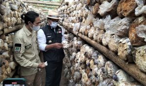 Antusias Tinggi, Jumlah Pendaftaran Petani Milenial Dishut Lampaui Target