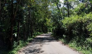 Jalanan Rusak dan Minim PJU, Wisata di Sukamakmur Sepi Pengunjung