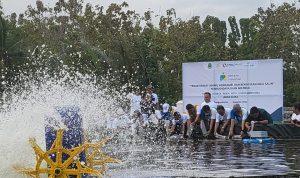 Pulihkan Ekonomi Nasional, bank bjb bersama Pemprov Jabar Tebar Benih Udang Vaname di Kabupaten Pangandaran