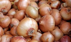 Mendongkrak Produksi Bawang Merah Lewat Benih dari Umbi Mendongkrak Produksi Bawang Merah Lewat Benih dari Umbi