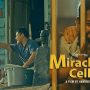 miracle in cell no. 7