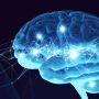 link tes iq google form