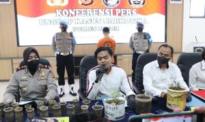 Tanam Ganja di Balkon Rumah, Warga Bogor Diciduk Polisi Tanam Ganja di Balkon Rumah, Warga Bogor Diciduk Polisi