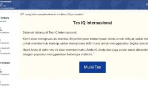 Link Tes Ujian IQ Internasional Viral 2022 Terbaru, Yakin Kamu Cerdas?