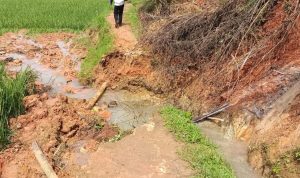 Intensitas Curah Air Hujan Yang Tinggi, BPDB KBB Mengimbau Masyarakat Agar Selalu Waspada