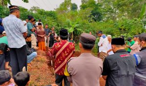 Seorang Anak Kecil Tewas Terjebak dalam Kebakaran di Padalarang Seorang Anak Kecil Tewas Terjebak dalam Kebakaran di Padalarang