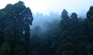 5 Kerajaan Jin yang Ada di Indonesia, Makhluk Sakti Mandraguna!