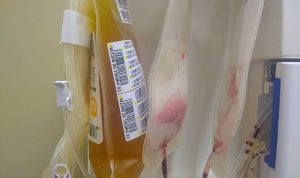 Stok Plasma Konvalesen di Bandung Masih Kosong