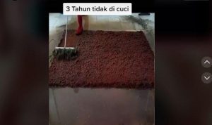 Karpet Tiga Tahun Tak Dicuci Viral di TikTok, Cara Download Snaptik