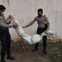 Pocong yang diamankan Polisi lantaran sudah sangat meresahkan warga