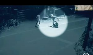 Viral, Kemunculan Khodam Macan Putih Dari Tubuh Pria Saat Hendak Dirampok, terekam CCTV Hebohkan Publik Video Kemunculan Khodam Macan Putih Dari Tubuh Pria Saat Hendak Dirampok, terekam CCTV Hebohkan Publik (tangkapan layar video)