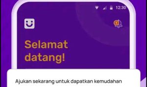 Kok Bisa Cuma Modal HP Dapat Pinjaman Online BRI Rp 10 Juta Tanpa Jaminan? Begini Caranya