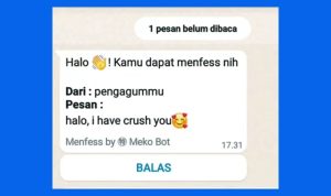 wa bot confess
