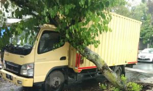 Cuaca Ekstrem Landa Bandung, Dalam Sepekan 12 Pohon Tumbang Pohon tumbang menimpa truk di Jl Rontgen, Kota Bandung, Jumat (7/10) kemarin. (Nizar/Jabar Ekspres)