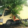 Pohon tumbang menimpa truk di Jl Rontgen, Kota Bandung, Jumat (7/10) kemarin. (Nizar/Jabar Ekspres)