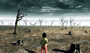 3 Peristiwa Tidak Biasa di Dunia Akibat Perubahan Iklim, Es Puncak Jaya Akan Hilang 2025? perubahan iklim