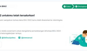 BSU Tahap 6