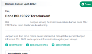 BSU Tahap 4