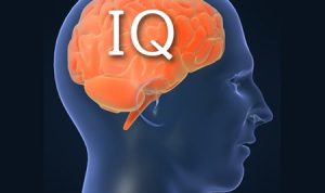 Link Tes IQ Gratis dan Mudah (Gambar: Caltech)