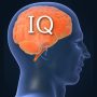 Link Tes IQ Gratis dan Mudah (Gambar: Caltech)