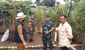 Di sela-sela kesibukannya, ternyata berhasil mengembangkan tanaman sayur-sayuran di lahan tidur milik Kompi Kaveleri (KIKAV) dan Pussenkav.