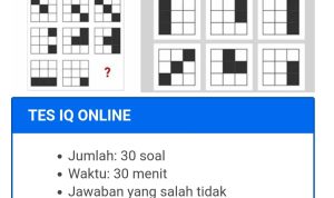 Tes IQ Online Indonesia 2022, Ketahui Skor IQ mu! Apakah Kamu Cerdas? (Sumber: tes-iq.com)