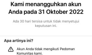 Instagram Error, Akun Tersuspend Potensi Hilang! Bagaimana Cara Mengatasinya?