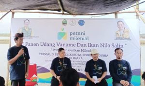 DKP Jabar Panen Udang Vaname Milenial Juara