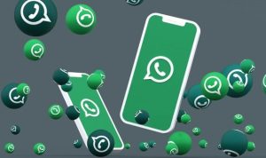 server whatsapp down