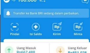 dapat saldo dana gratis